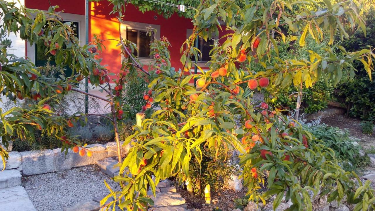 Apartment Vila Volicija Makarska Exterior photo